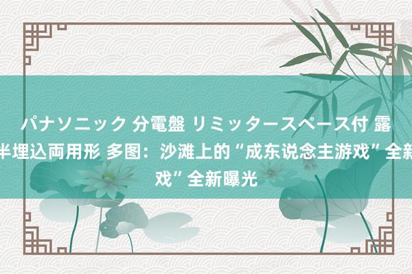 パナソニック 分電盤 リミッタースペース付 露出・半埋込両用形 多图：沙滩上的“成东说念主游戏”全新曝光