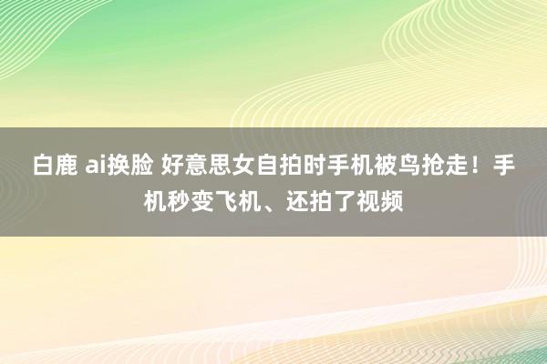 白鹿 ai换脸 好意思女自拍时手机被鸟抢走！手机秒变飞机、还拍了视频